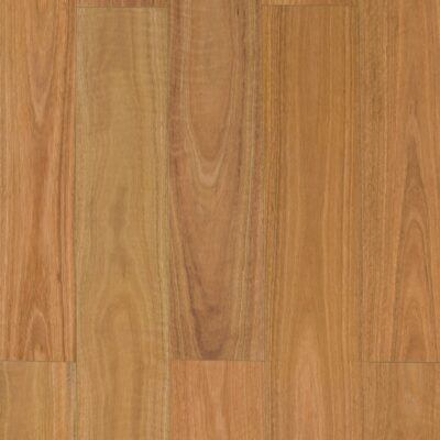 Spotted Gum 1