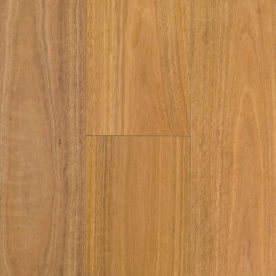 01 P102 Spotted Gum