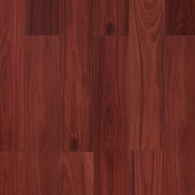 02 P104 Jarrah